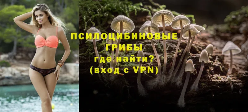 Галлюциногенные грибы Psilocybine cubensis  Вяземский 